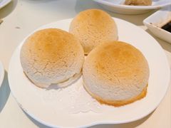 雪顶雄峰-利苑酒家(金宝店)
