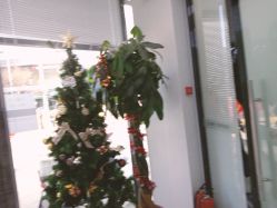 -悟空祛痘·诺奖技术专业店