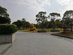 -上海都市菜园
