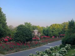 -东湖落雁景区