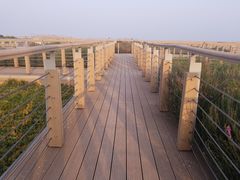-东疆建设开发纪念公园