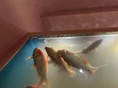 -琴寿司居酒屋(中山广场店)