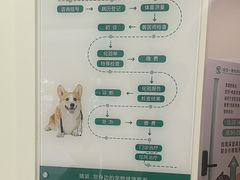 -瑞派康怡24h宠物医院·犬猫医疗中心·微创绝育(瑞景分院)