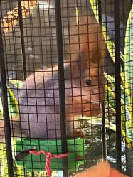 -酷嗒动物文化乐园(cutezoo西溪乐天城店)