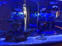 -上和臻品中国菜(花园街店)