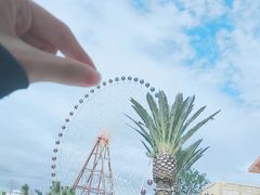 -三亚海昌梦幻海洋不夜城