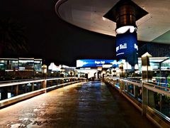 -拉斯维加斯永利酒店