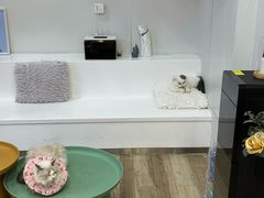 -拜鲁耶动物诊疗中心·宠家动物医院