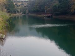 -桃花岭景区
