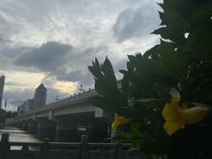 -南宁南湖公园