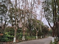 -上海野生动物园