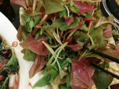 -东颖龙肥牛王(绵阳店)