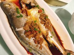 -金鼎轩(亚运村店)