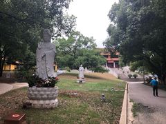 -太子山公园(园东路)