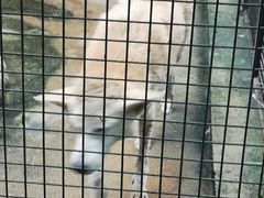 -海南热带野生动植物园