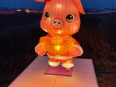 -空港花田景区