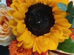 -世纪联华超市(浦电路店)