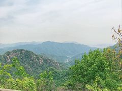 -大岭沟猕猴桃谷风景区