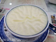 招牌双皮奶-捷信牛奶甜品世家(柳巷店)