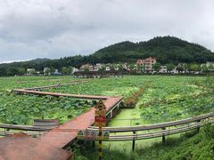 -红山村