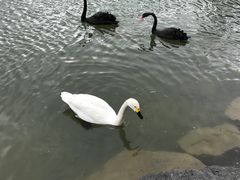 -上海怡沁园度假酒店