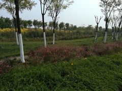 -天津东丽湖风景区