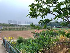 -新地休闲农场