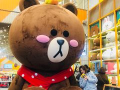 -line friends(明洞旗舰店)