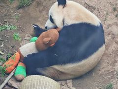 -大连森林动物园