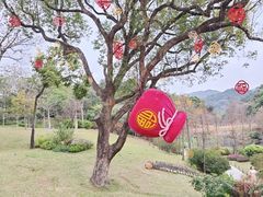 -云溪植物园