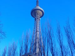 -龙塔