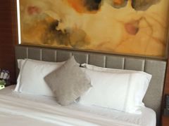 -深圳观澜格兰云天国际酒店