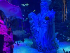 -沈阳海洋探索中心