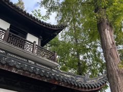-汇龙潭
