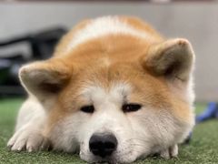 -YCHL Studios健身工作室(市二宫店)