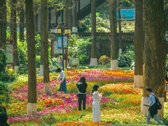 -忠山公园