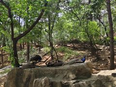 -燕塞湖鸟语林景区