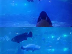 -福州罗源湾海洋世界旅游区