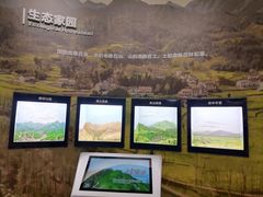 -陕西自然博物馆