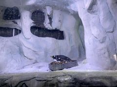 -南昌海洋公园
