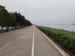 -海鸥岛