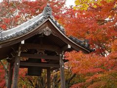 -常寂光寺