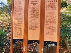-香雪海