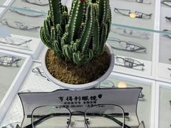 -罗伯特眼镜·蔡司官方授权(罗湖国贸店)