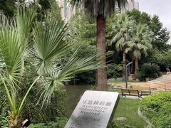 -苏州河梦清园环保主题公园