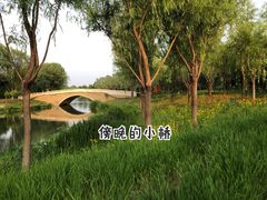 -东郊湿地公园