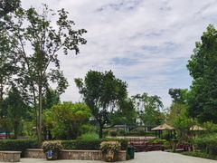 -成飞公园