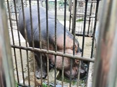 -昆明动物园