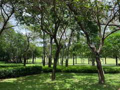 -荔香公园