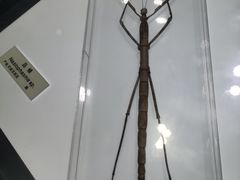-上海昆虫博物馆